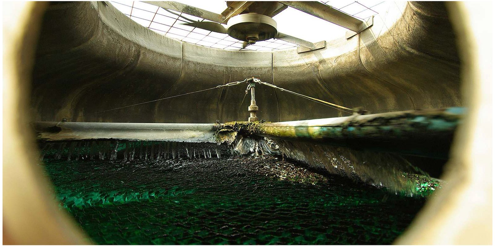 Understanding Algae/Biofilm & The Impact on Efficiencies